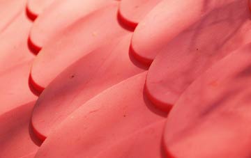 Chicklade plastic roof costs