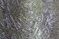 Chicklade fibreglass roof work